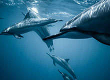 我的网站上线了